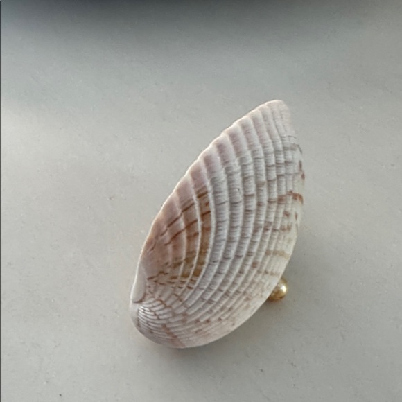 Seashell Decor - Picture 3 of 4